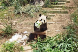 覃海洋：成功不是终点失败并非末日，期待巴黎奥运能绽放光芒